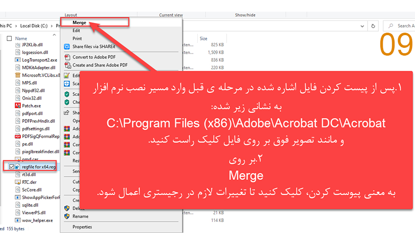 Installing Adobe Acrobat Reader 09