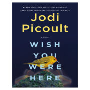 Wish You Were Here