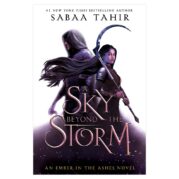 A Sky Beyond the Storm