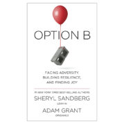 Option B