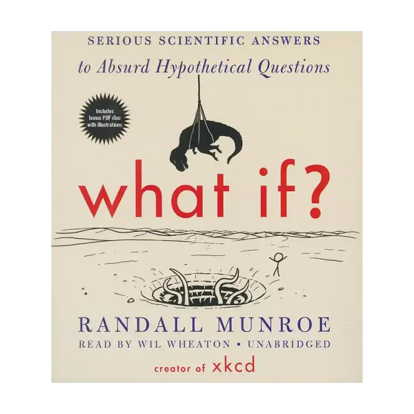 What If audiobook