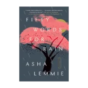 Fifty Words for Rain