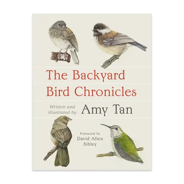 The Backyard Bird Chronicles