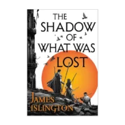 The Shadow of What Was Lost