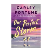 Our Perfect Storm