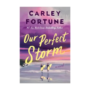 Our Perfect Storm