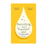 Everything was Beautiful and Nothing Hurt