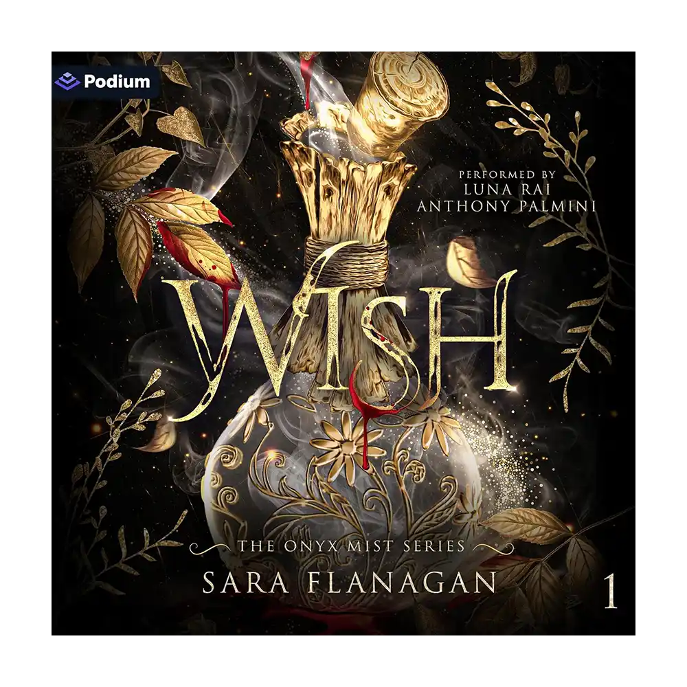 Wish Audiobook
